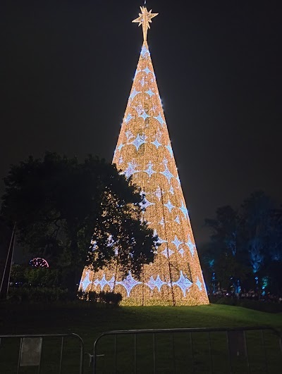Parque Ibirapuera - Foto por Charles Albanese