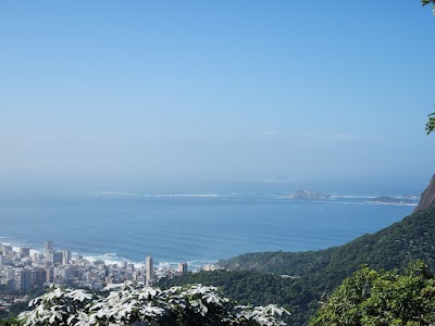 Parque Nacional Da Tijuca - Foto por Sandro Antonucci