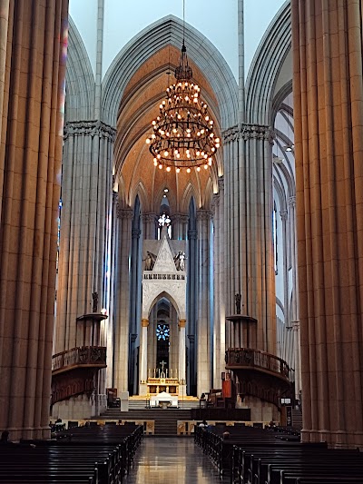 Catedral Metropolitana Da Sé - Foto por Rodrigo Pedrosa