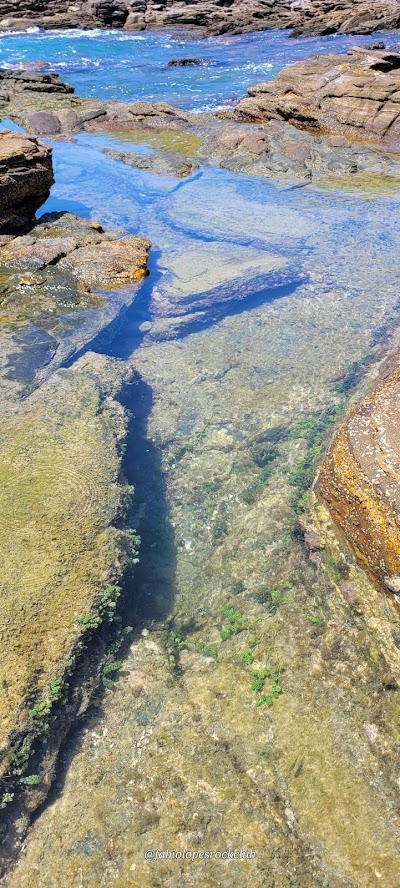 Ponta Da Foca - Foto por Fábio Lopes Carabina