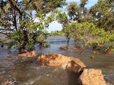 Mangue De Pedras (Entrada Da - Foto por Glória Dutra