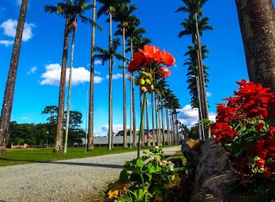 Parque Roberto Burle Marx - Foto por Toni Oliveira Business