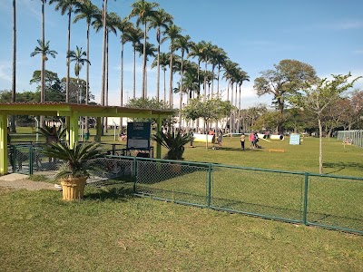 Parque Roberto Burle Marx - Foto por Francisco Magaldi