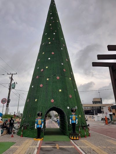 Árvore De Natal Ponta Negra - Foto por Talita Mara Paulino