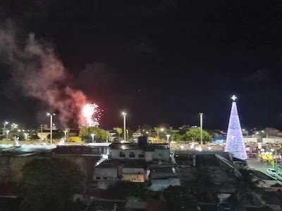 Árvore De Natal Ponta Negra - Foto por Ivon Dias