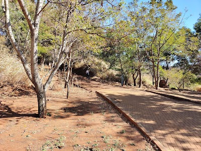Parque Da Serra Do Curral - Foto por Gilney Souza