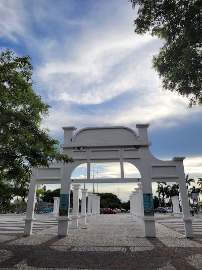 Figueira Centenária - Foto por Antoine Assaad