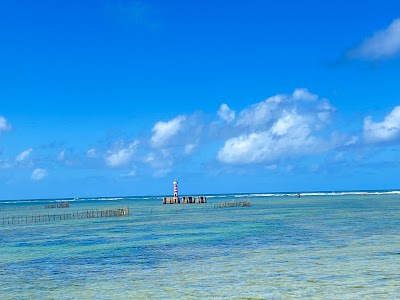 Praia De Ponta Verde - Foto por Max Cândido