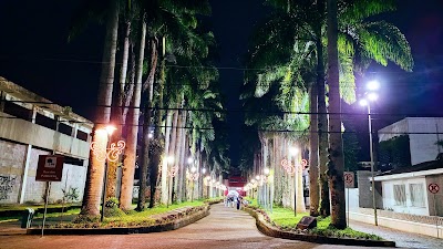 Rua Das Palmeiras - Foto por Magno Torres
