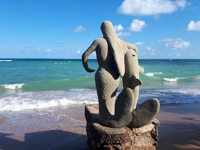 Praia Da Garça Torta - Foto por Sol Chavez