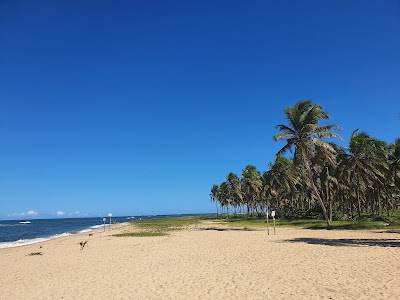 Praia Do Gunga - Foto por Claudia Apolo